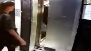 Today in public friday a huge fat bitch getting caught in an elevator.